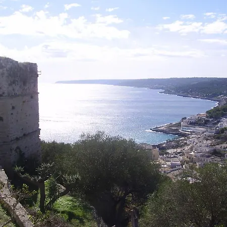 Minerva Castro (Lecce)