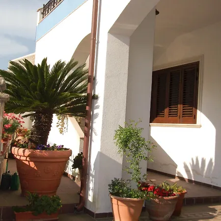 Minerva Bed and Breakfast